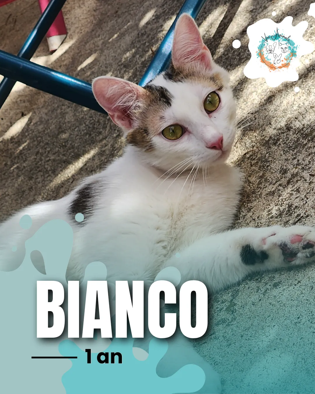 Bianco,