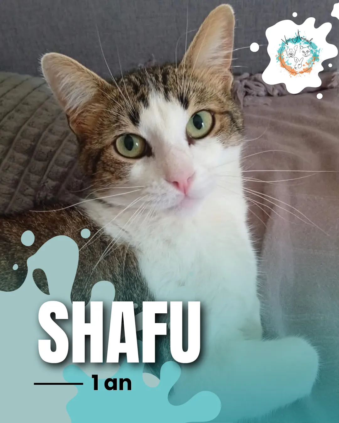 SHAFU,