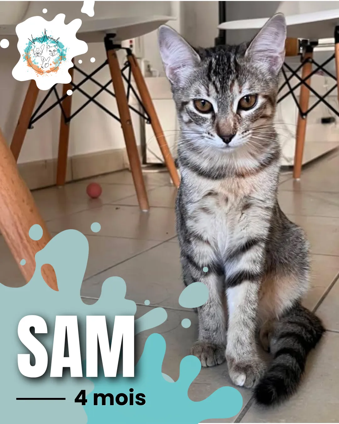 Sam,