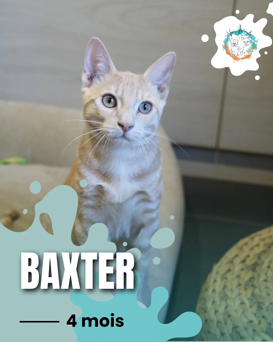 BAXTER,