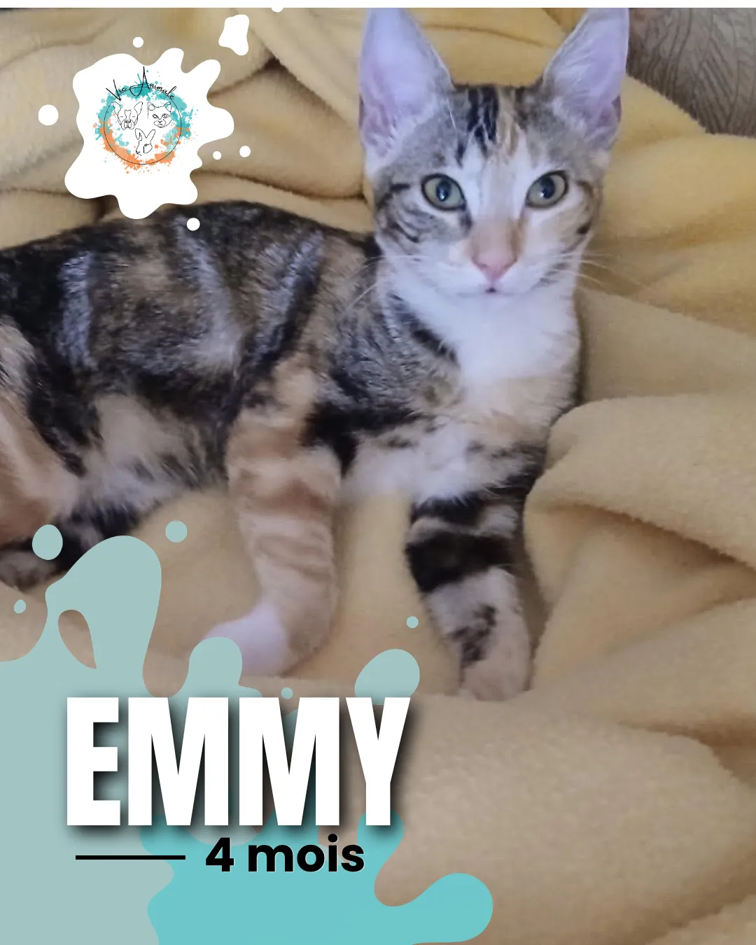 EMMY, à l'adoption