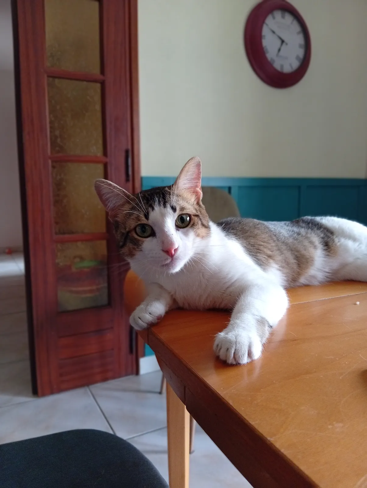 SHAFU,  — photo 3