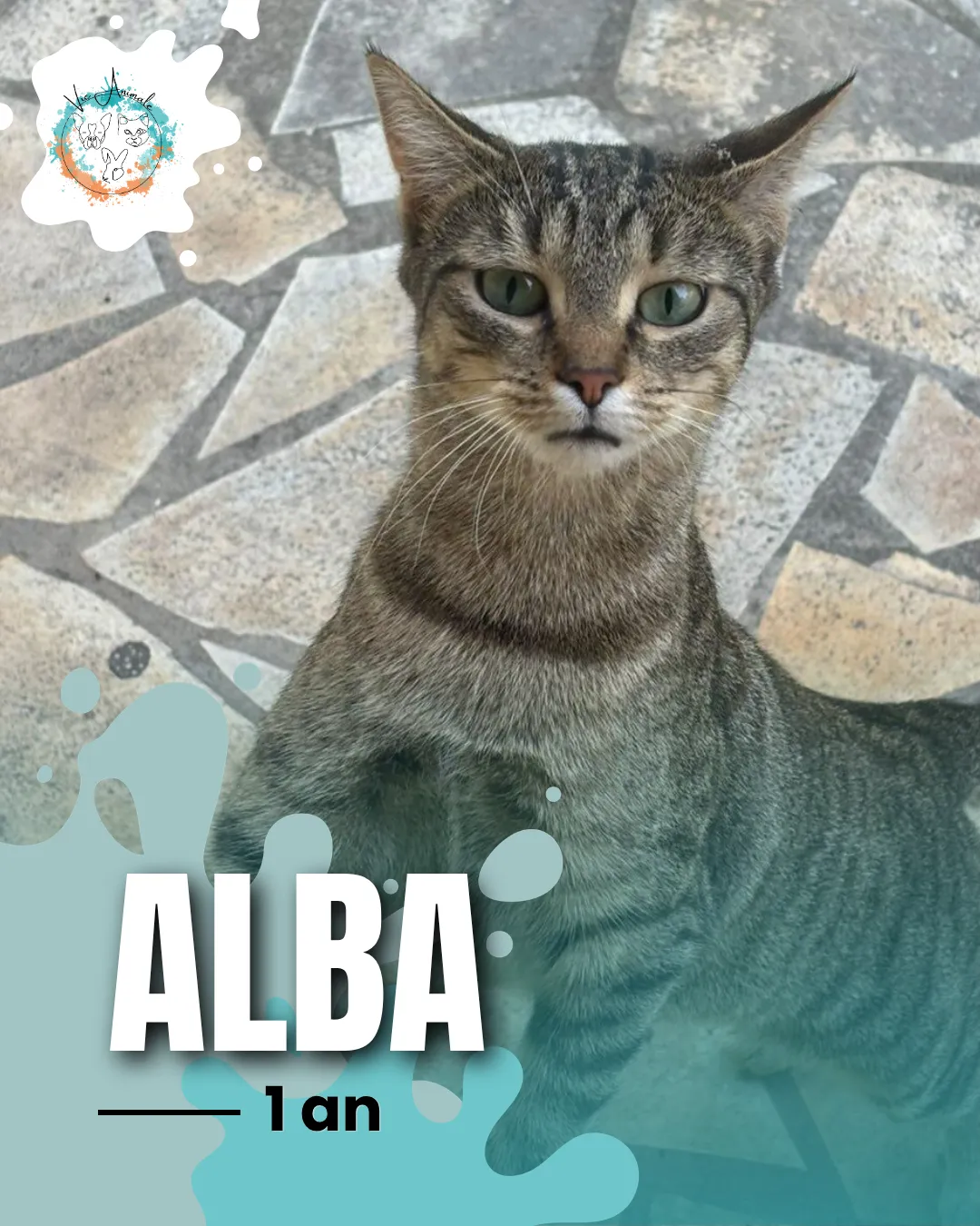 Alba,